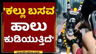 Bagalkote : ರಾತ್ರೋರಾತ್ರಿ ಬಸವಣ್ಣನ ಪವಾಡ ನೋಡಲು ಜಮಾಯಿಸಿದ ಜನ | NewsFirst Kannada