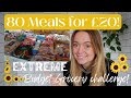 80 MEALS FOR £20 ($23)!!! | Extreme Budget Grocery challenge | Frugal Living | 2022 | (plant based)