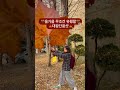 무조건 유행할 대왕 단풍 사진 포즈 추천 🍁