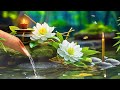 relaxing piano music and water sound relaxing music stress relief meditation music study u0026 yoga.