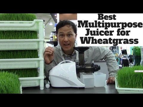 Best Multipurpose Juicer for Juicing Wheatgrass Best Multipurpose Juicer for Juicing Wheatgrass
