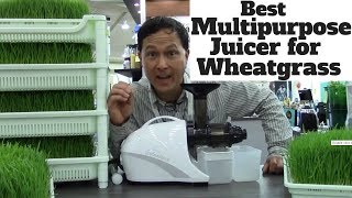 Best Multipurpose Juicer for Juicing Wheatgrass