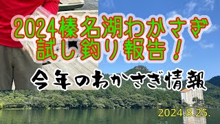 榛名湖2024ワカサギ試し釣り