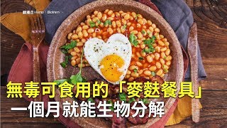 無毒可食用的「麥麩餐具」 一個月就能生物分解｜環保餐具｜免洗碗盤