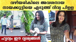 മരണം മുന്നിൽ കണ്ട നായയെ Divya Pillai രക്ഷിച്ചപ്പോൾ,ഹൃദ്യം വീഡിയോ