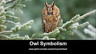 Owl Symbolism