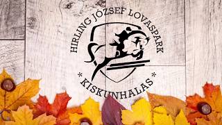 Hirling József Lovaspark Kiskunhalas 2019