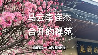 马云李连杰，合开的太极禅苑，在杭州这儿