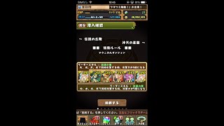 【パズドラ】伝説の丘陵 沖天の星龍　麒麟パ