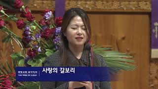 [헌금송] 사랑의 갈보리로 윤예지 2023.4.2