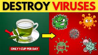 DESTROY VIRUSES: These 17 Superfoods Fight Viruses!