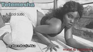 Tetemesha by mzizi wabahari & ngwese (Aufficial audio)