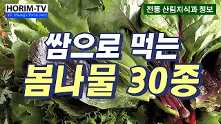 쌈으로 먹는 봄나물 30종, 숲 전문 HORIM-TV