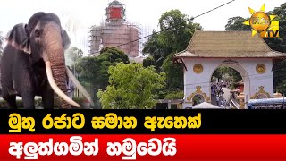 මුතු රජාට සමාන ඇතෙක් - අලුත්ගමින් හමුවෙයි - Hiru News