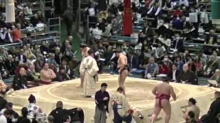 里山-北磻磨/2017.3.17(33)/satoyama-kitaharima/day6 #sumo