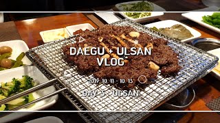 대구 + 울산 여행 VLOG 3편 - ULSAN VLOG ,친구들과 여행 ,울산여행 브이로그 #3