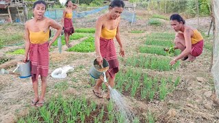 บรรยากาศยามแลง อยู่เถียงนา อยู่กับธรรมชาติ อยู่กับสวนผัก.🌾🌾🌾