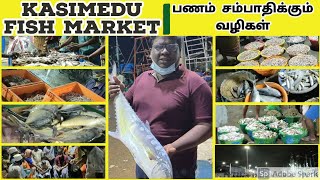 What Is The Way to Earn Money From KASIMEDU FISH MARKET | Live Visit kasimedu with Eden Tv