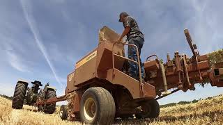 Baling Hay And Beating the Rain!  Making Small Squares with the Hesston 4690s