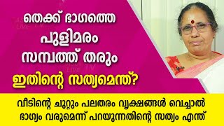 തെക്ക് ഭാഗത്തെ പുളിമരം സമ്പത്ത് തരും ഇതിന്റെ സത്യമെന്ത്? 9947500091 | Asia Live TV