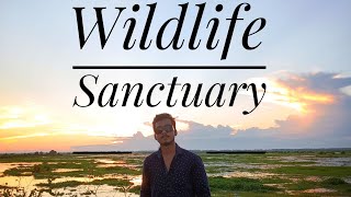 Pani Dihing Wildlife Sanctuary||2021||Sivasagar||Demow||Assam