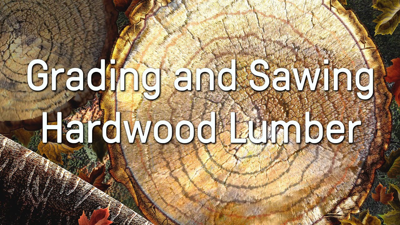 Introducing - Grading And Sawing Hardwood Lumber Instructional Videos ...