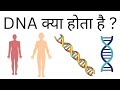 DNA Kya Hota Hai | DNA Ki Puri Jankari