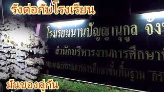 กำจัดรังต่อออกจากโรงเรียน รังนี้ลำบากมากครับ - ต้อม คนทํามาหากิน