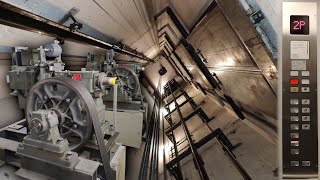 3 Efficient SCHINDLER M-Series Lifts in St. Gallen, Switzerland