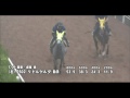 2015 7 29　アイビスサマーダッシュ　リトルゲルダ　　調教動画