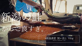 SUNTUBE #新潟食堂 modelNo 12 鮭【新潟・食のVlog】村上でガストロノミー