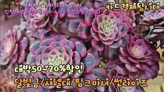 대박50~20%할인 /달빚금/핑크마녀/파이어폭스. 이화랜드010-3339-2461 나는농부다282회출연