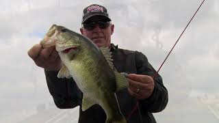 Has the Swimbait replaced the Spinnerbait?