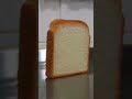 Bread Falling over and gets up #Breadfalling #UI #viral #short