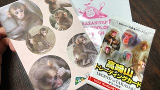 高崎山トレーディングカード開封動画🐒♨️