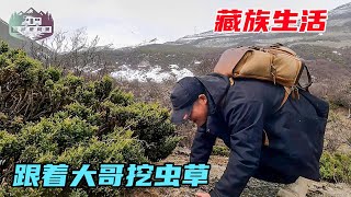 河南小伙跟藏族大哥进山挖虫草，海拔5千天降大雪！环境太恶劣！【信仰是风景】