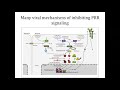 antiviral innate immunity part 2 2021 10 14