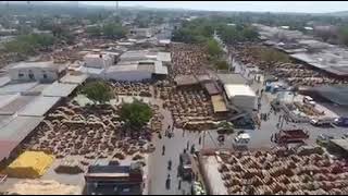 Byadagi chilli Market | ಬ್ಯಾಡಗಿ ಮೆಣಸು | ಮೆಣಸಿನಕಾಯಿ ಮಾರುಕಟ್ಟೆ| Famous variety | Haveri Karnataka