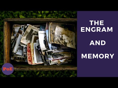 What is the name of the physical trace of memories?