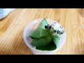 호접란 다 죽은 뿌리에서 새뿌리 내는 방법. how to make phalaenopsis orchid new roots.