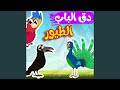 دق الباب الطيور