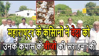 Veda Seeds Hybrid Cotton Seeds in Maharashtra Region \u0026 Gujarat Region