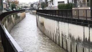 2018年12月6日 呑川 工大橋