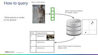 Vector Databases- What, Why, and How? Steve Pousty (VMWare)