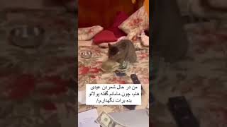 من درحال عیدی شمردن 😂🤣 #comedy #خنده #طنز #shorts