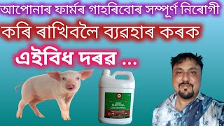 আপোনাৰ ফাৰ্মৰ গাহৰিবোৰ সম্পূৰ্ণ নিৰোগী কৰি ৰাখিবলৈ ব্যৱহাৰ কৰক এইবিধ দৰৱ/Pig farm in Assam/#assamese