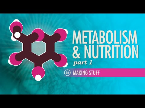 Metabolism & Nutrition, part 1: Crash Course A&P #36 Metabolism & Nutrition, part 1: Crash Course A&P #36