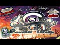 POR QUE TE VAS - LOS LOBOS DE GRIS