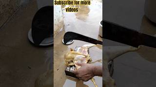 முழு நாட்டு கோழியை கட் செய்யும் முறை/How to cut the whole chicken into pieces/Chicken cutting skills