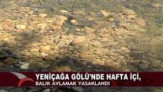 YENİÇAĞA GÖLÜ’NDE HAFTAİÇİ, BALIK AVLAMAK YASAKLANDI…